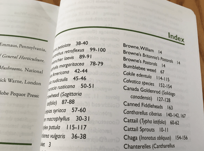 출처: https://www.jstwrite.com/blog/10-steps-to-creating-your-books-index